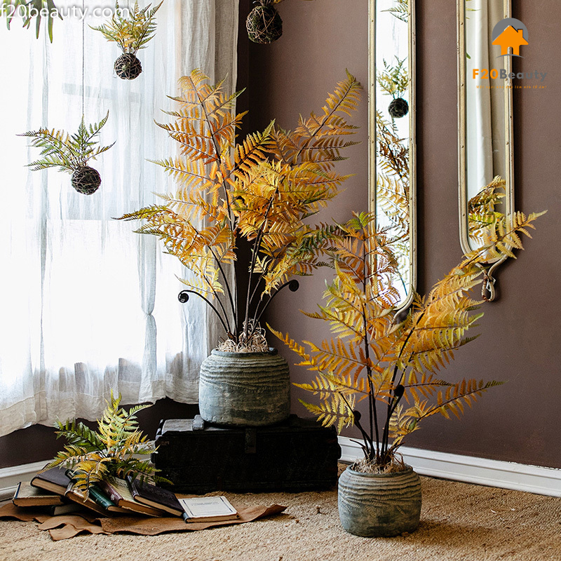 Cây dương xỉ thủy sinh Tropical giả