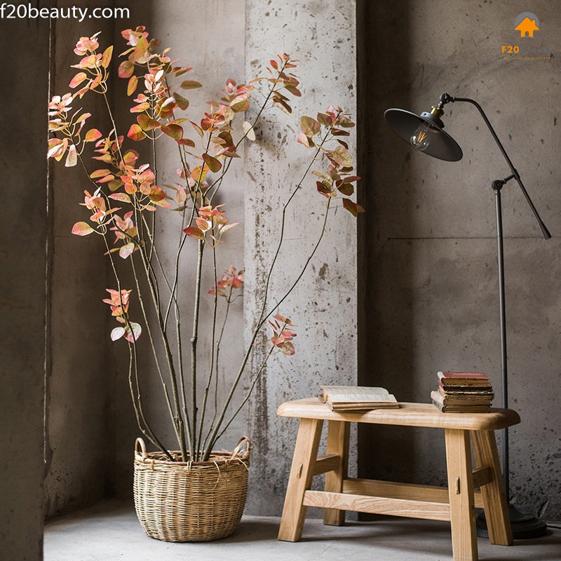 Cây lan Bauhinia lá đỏ giả