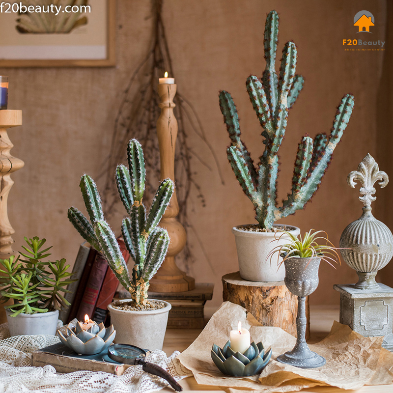 Cây xương rồng Alamy giả