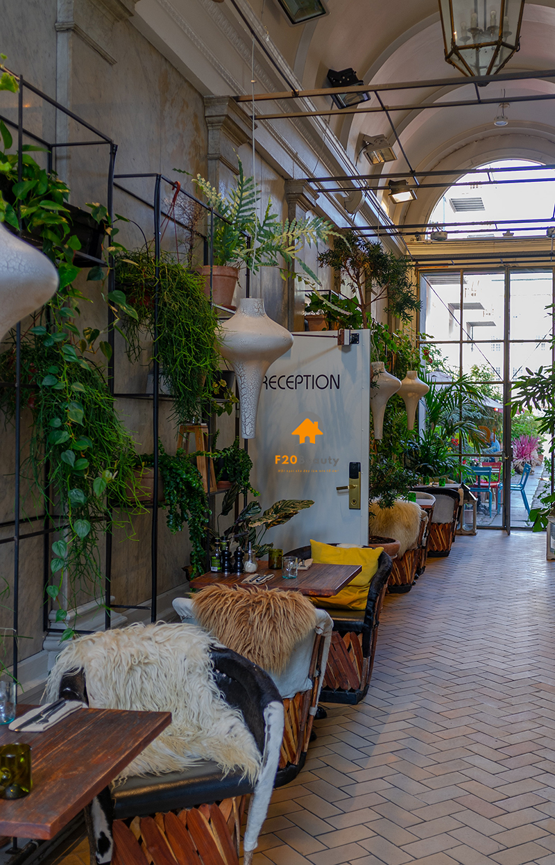 Trang trí không gian xanh với cây dây leo đậm chất hiện đại và Tropical