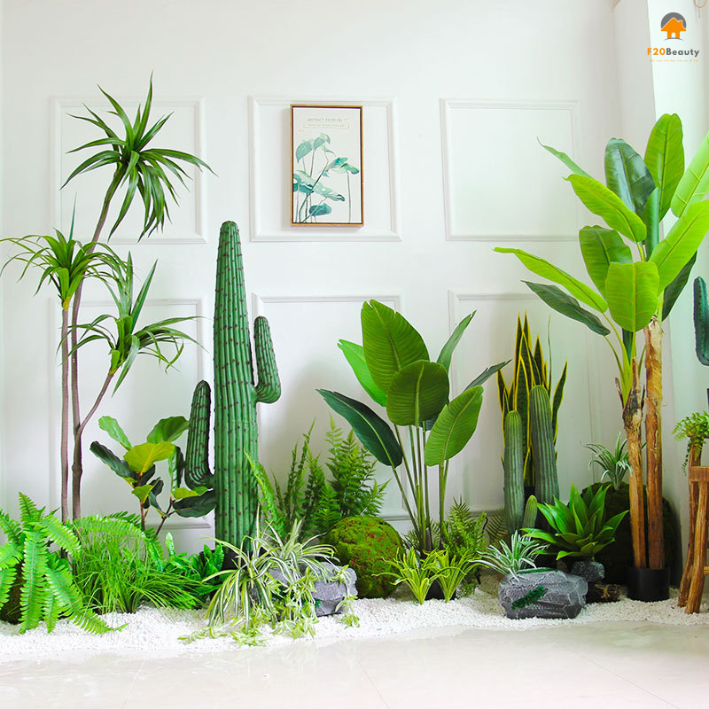 Cây tiểu cảnh xương rồng núi nhiệt đới giả