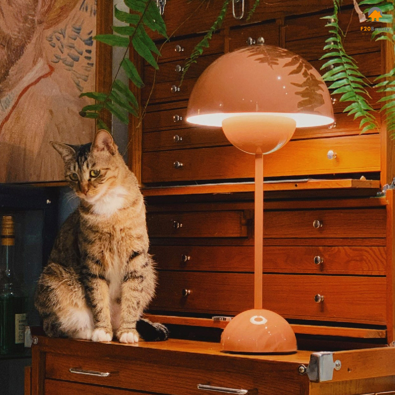 Đèn ngủ đẹp để bàn Chaewon