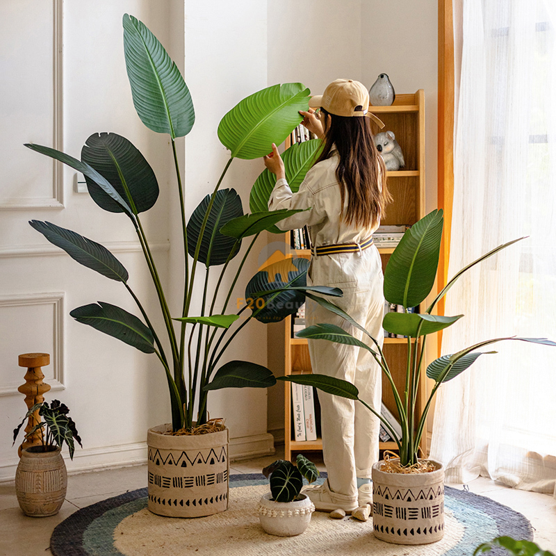 Cây chuối Singapore giả decor căn hộ Studio hiện đại