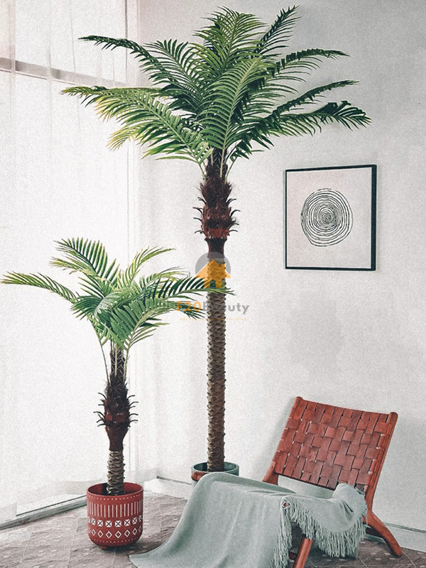 Cây dừa giả kích thước 150 cm và 210 cm khi đươc trồng vào chậu men sứ phong cách Tropical đẹp như thật