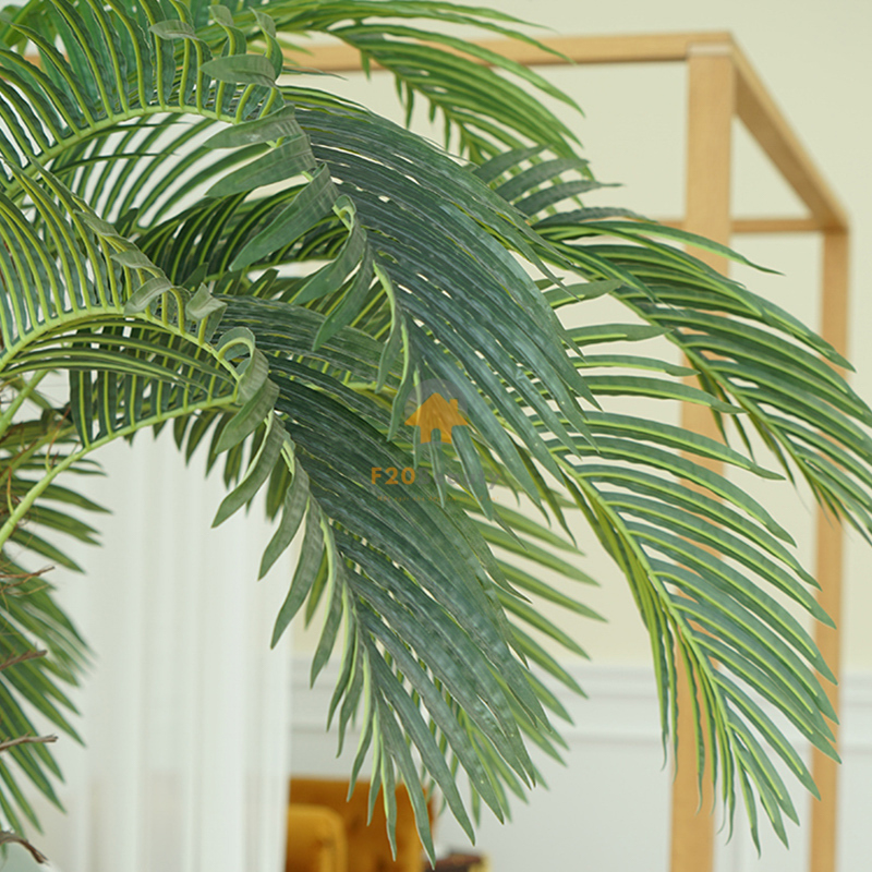 Chi tiết lá cây dừa Vector