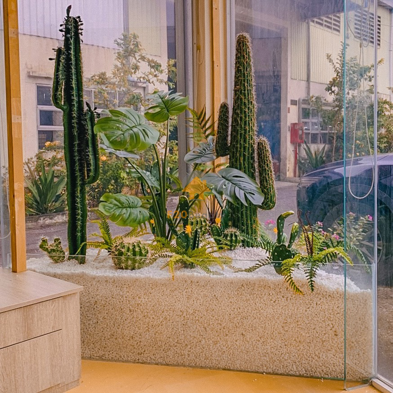 Tiểu cảnh cây xương rồng kết hợp Monstera lá xẻ kèm dương xỉ phong cách nhiệt đới Tropical