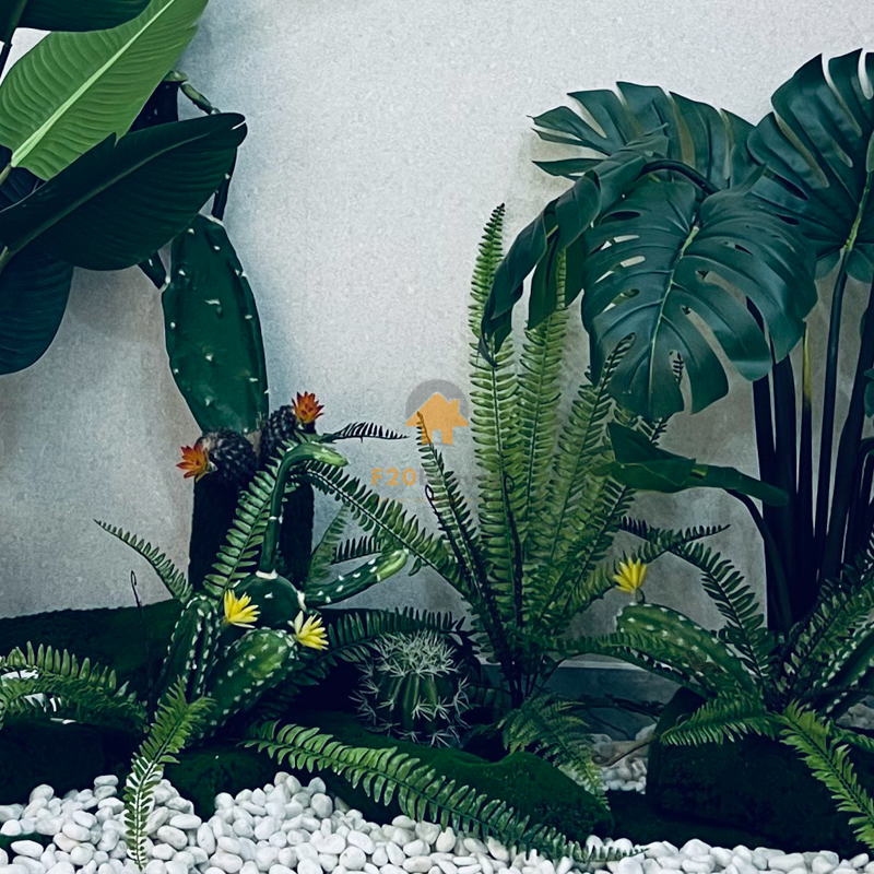 Chi tiết dương xỉ và xương rồng