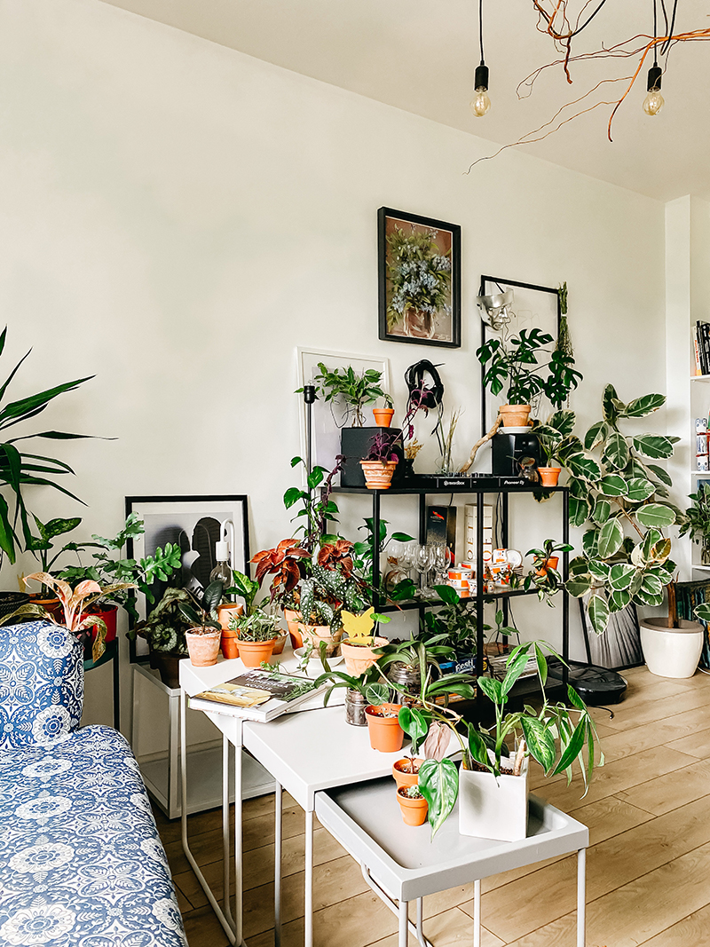 Những chậu cây cảnh nhỏ mini để bàn màu xanh lá cây trang trí không gian nội thất