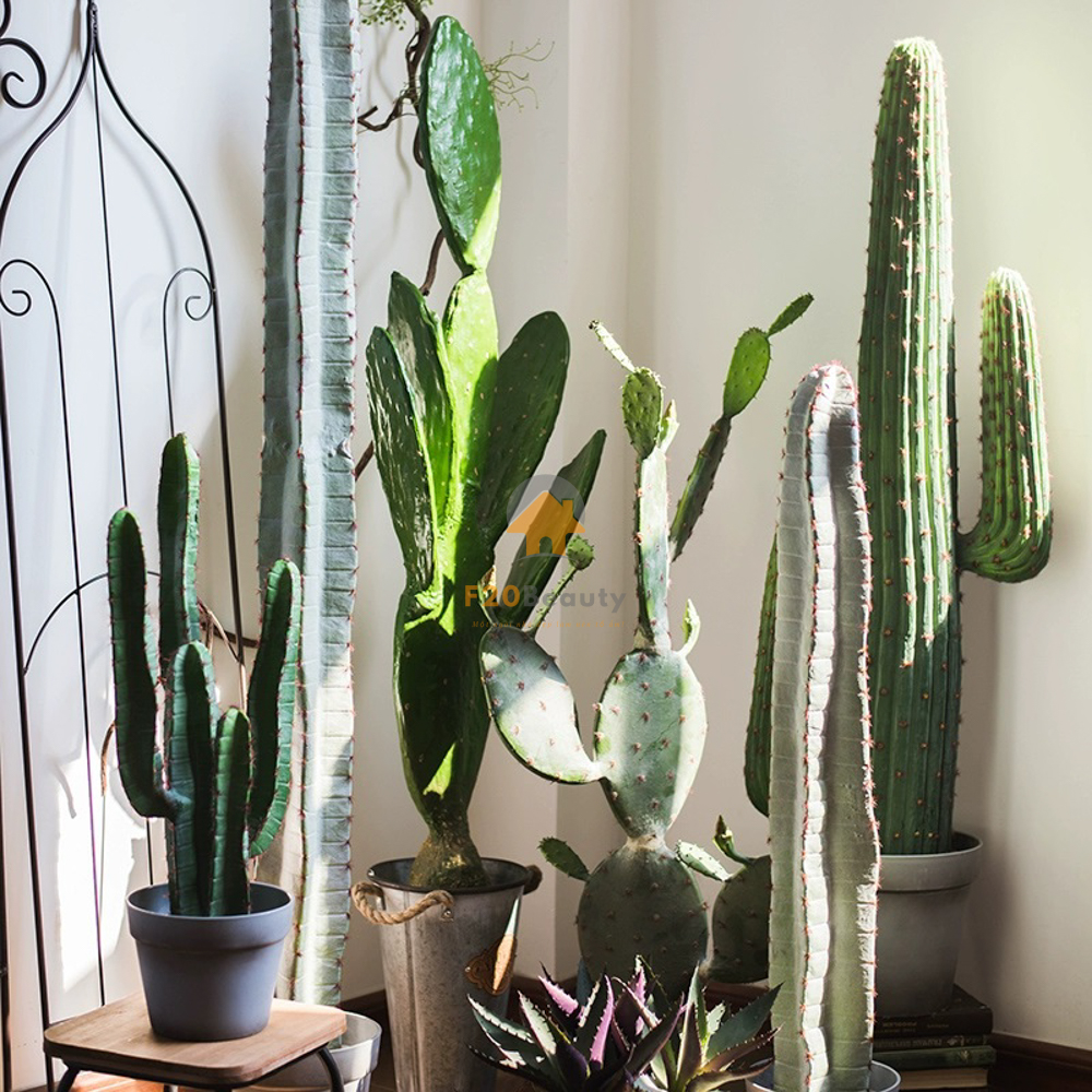 Cây xương rồng giả phong cách sa mạc