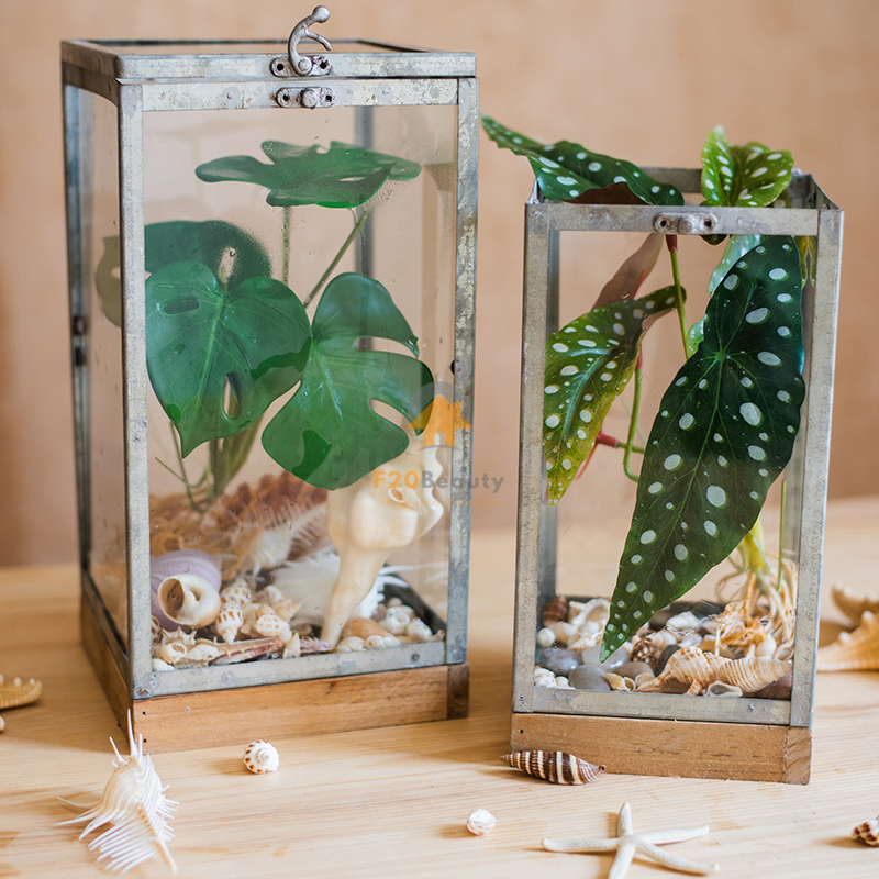 Cây giả nhỏ cắm hộp kính decor bàn làm việc