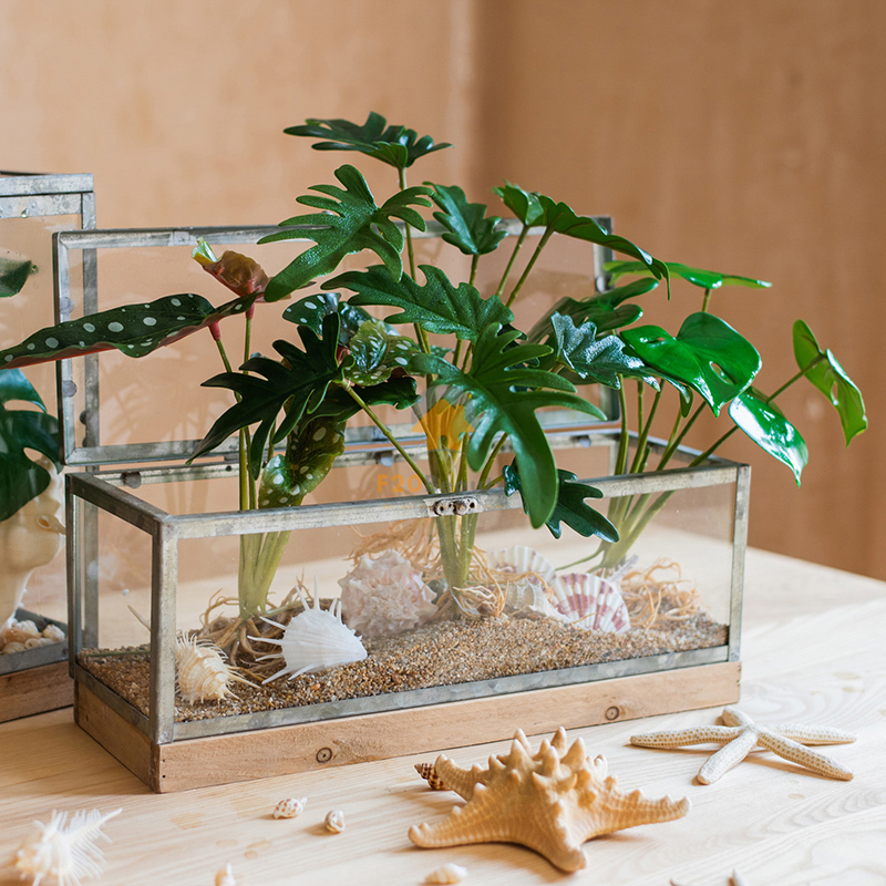 Cây giả nhỏ cắm bồn kính trang trí góc Studio