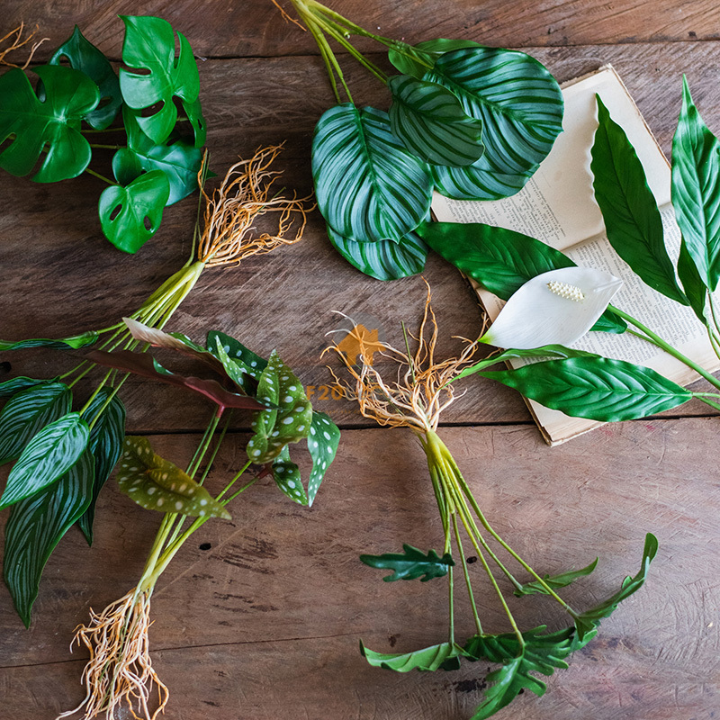 Nhiều mẫu cây nhỏ mini kích thước vừa trang trí tiểu cảnh, thả bình