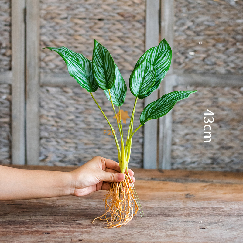 Cây đuôi công sọc giả - 170k