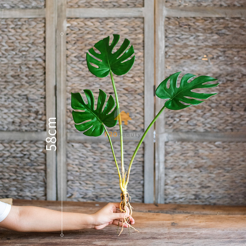 Cây Monstera giả 3 nhánh - có giá 150k
