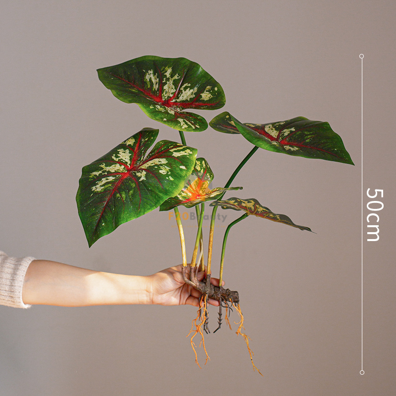 Cây môn Heart of jeasus giả - có giá 300k