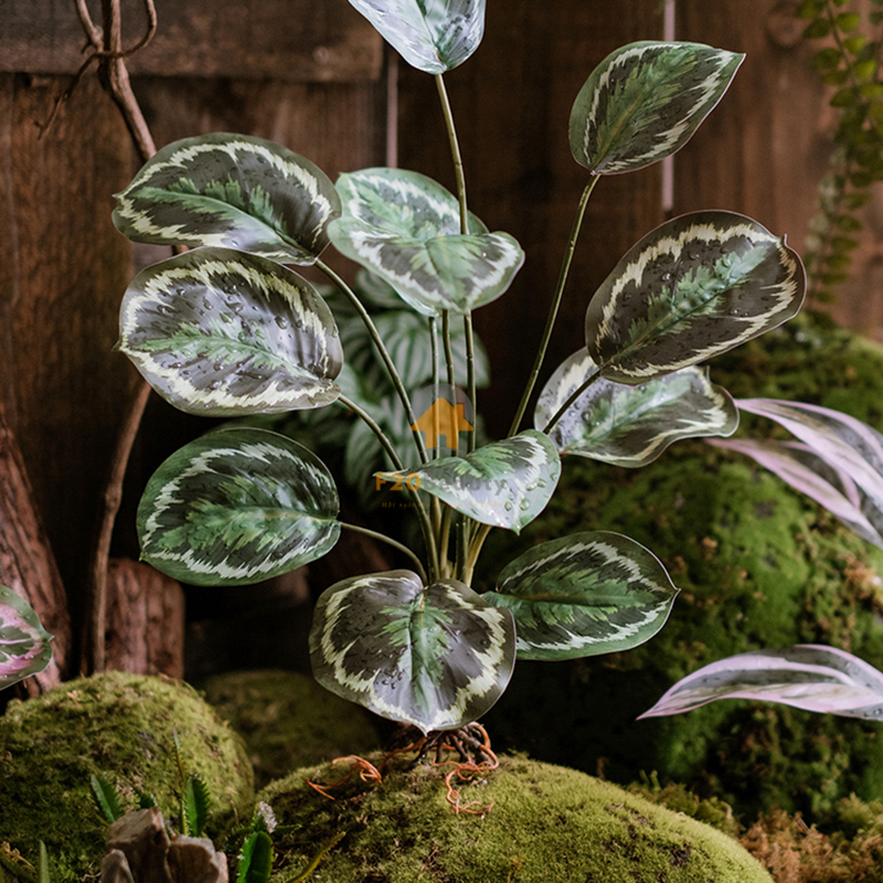 Cây đuôi công Jungle Velvet màu xanh decor trên tấm rêu xanh