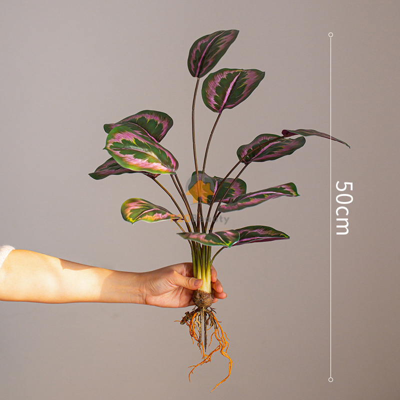 Cây đuôi công Jungle Velvet giả màu tím - 170k