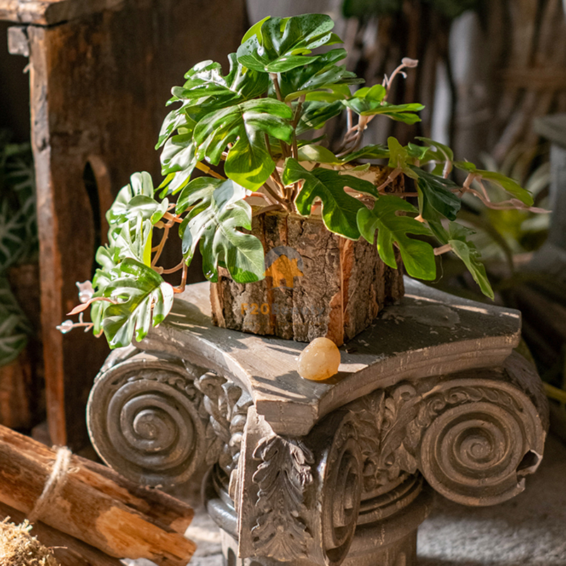 Cây Monstera lá rách giả trang trí hộp gỗ