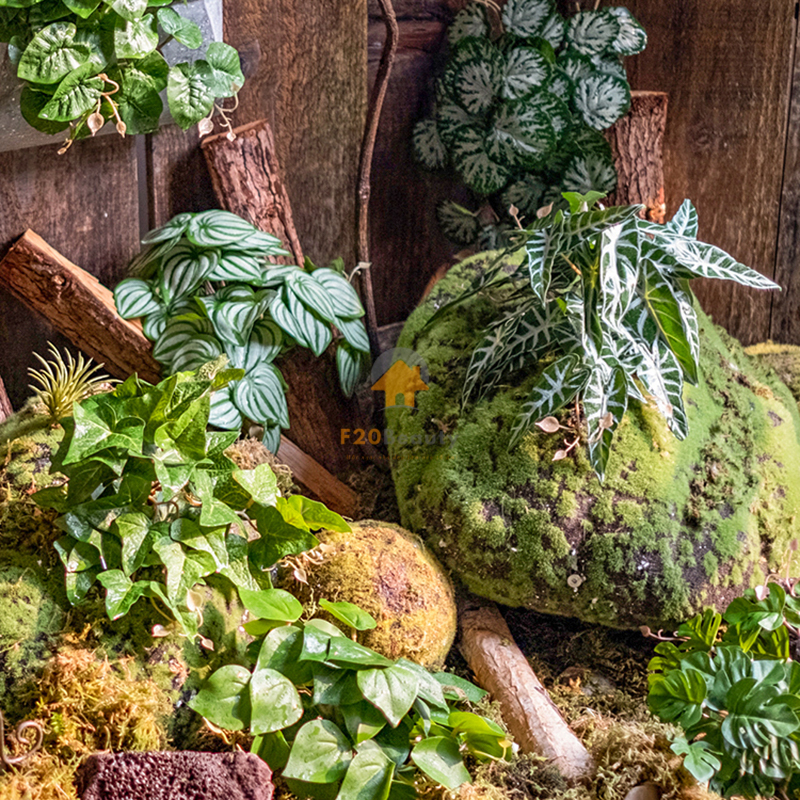 Trang trí góc Studio bằng thảm rêu và cây cảnh mini