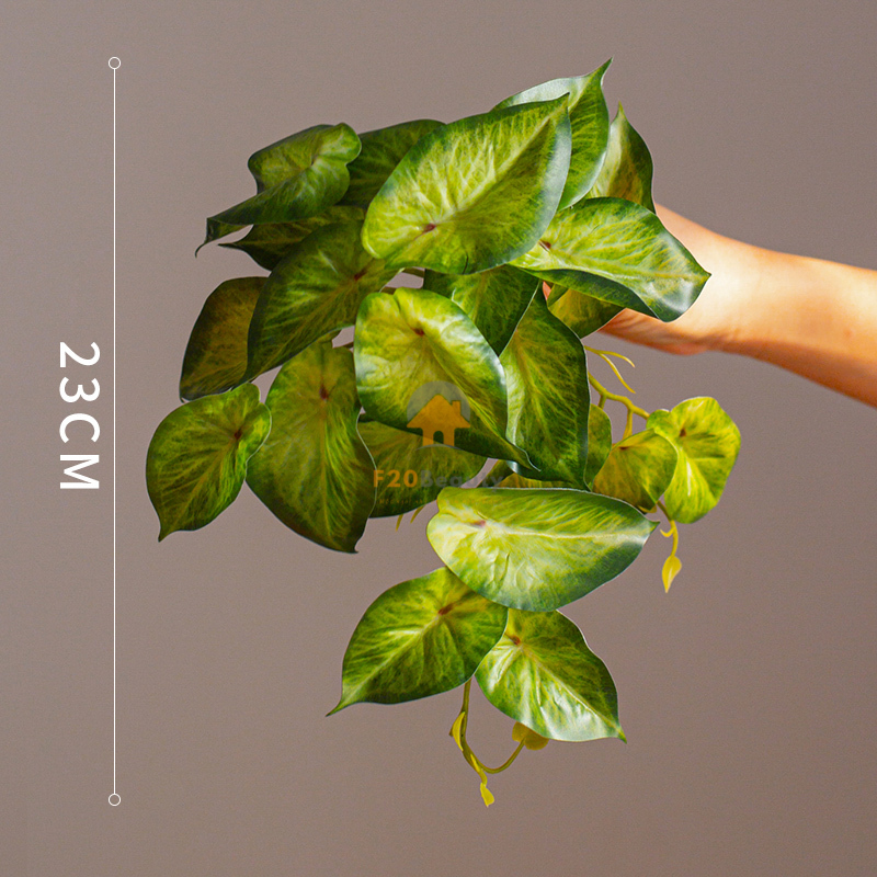 Cây lá mon sọc giả - 120k