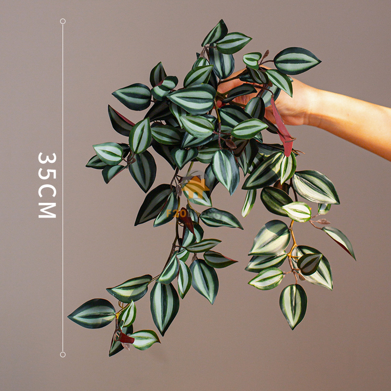 Cây thài lài tía rủ giả - 250k