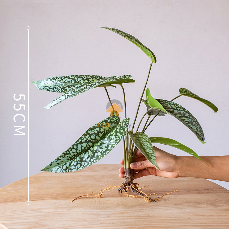 Cây nấm tuyết thiên thần vân chấm bi giả có giá 220k