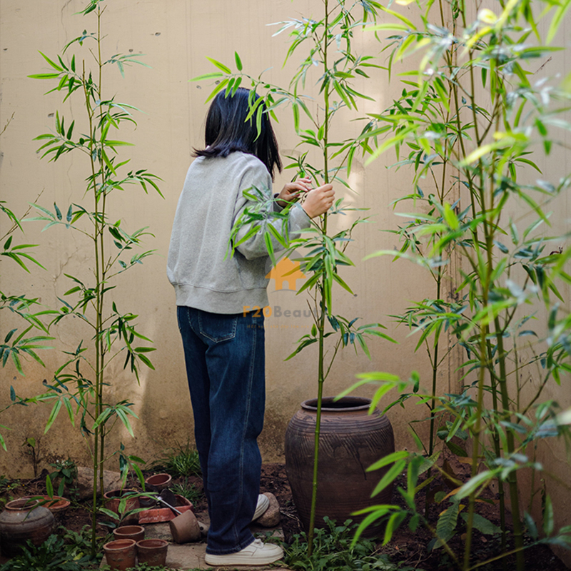 Cây trúc quân tử giả đẹp như thật