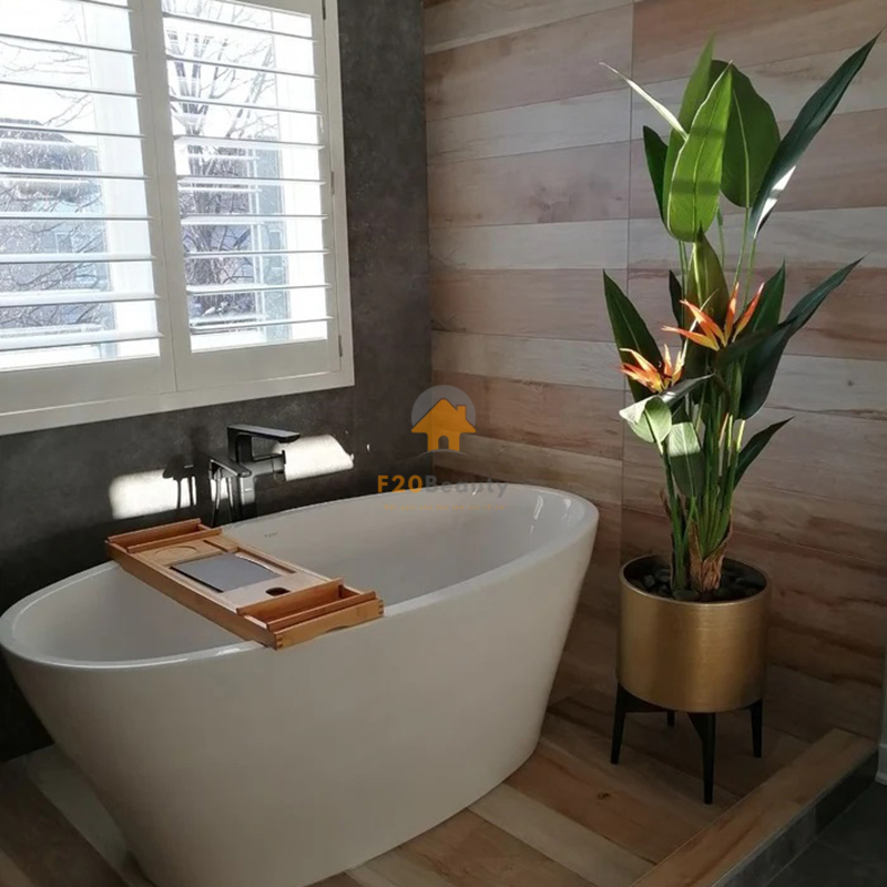 Cây chuối thiên điểu trang trí phòng tắm đẹp hiện đại
