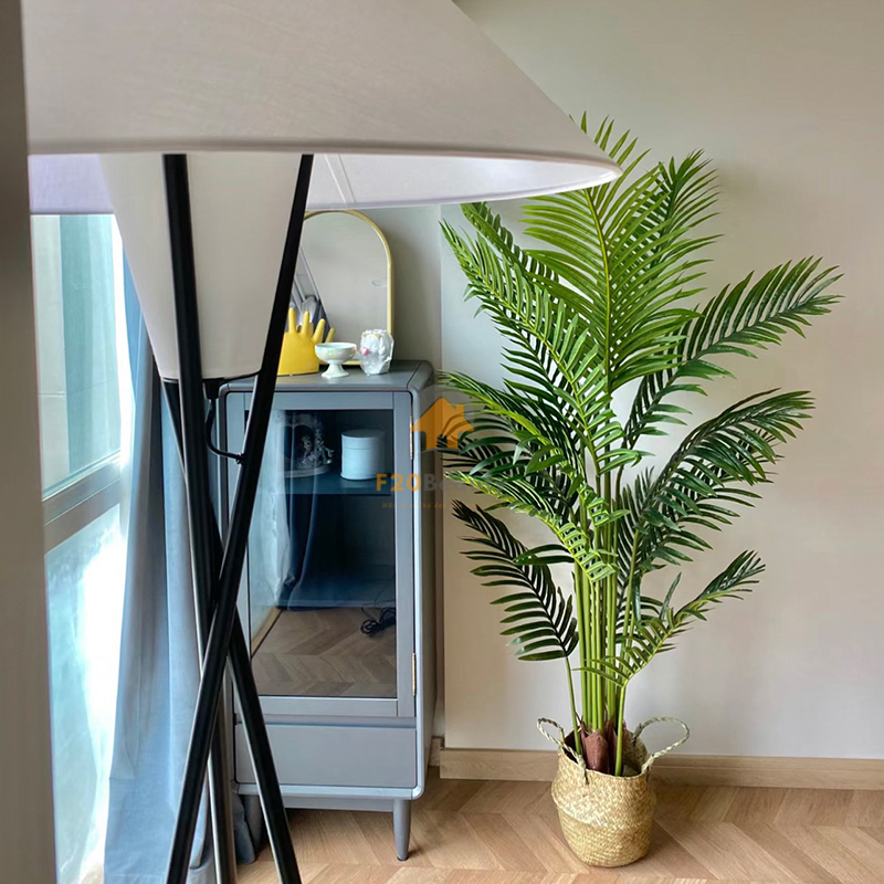 Cây dừa cảnh - Cây dừa kiểng giả trang trí trong nhà