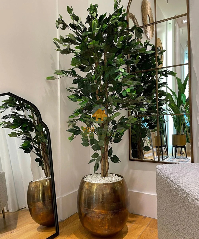 Cây Si Bonsai giả đẹp như thật trang trí nhà cửa