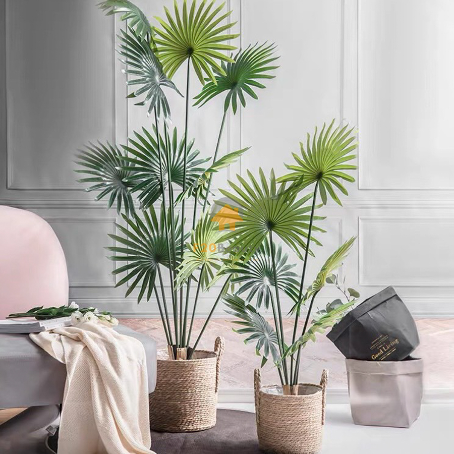 Cây cọ quạt giả phong cách nhiệt đới
