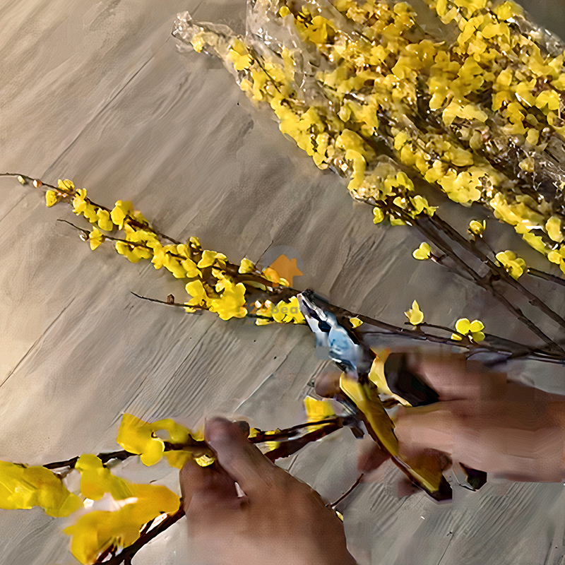 Làm hoa mai bằng cành