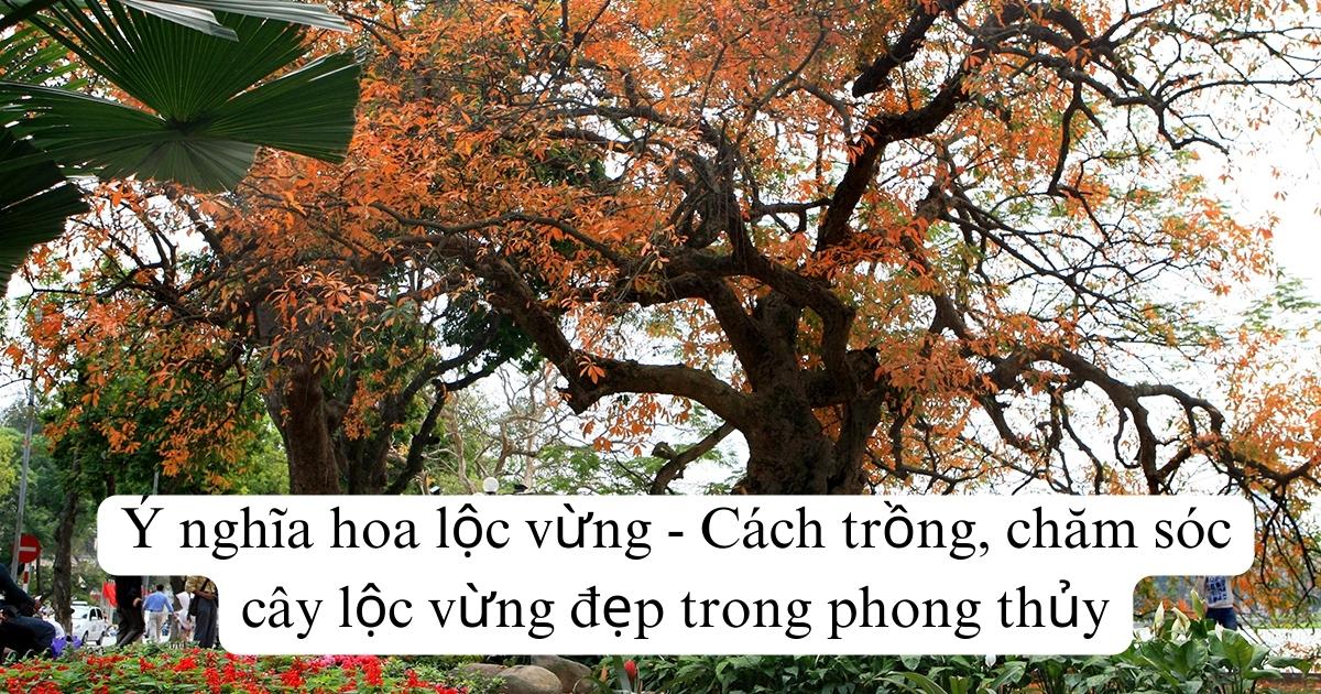 Ý nghĩa hoa lộc vừng - Cách trồng, chăm sóc cây lộc vừng đẹp trong phong thủy
