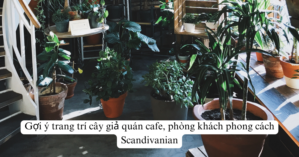 Gợi ý trang trí cây giả quán cafe, phòng khách phong cách Scandivanian