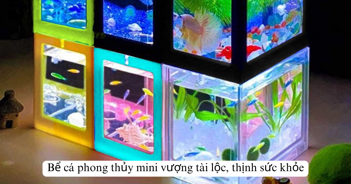Bể cá phong thủy mini vượng tài lộc, thịnh sức khỏe.