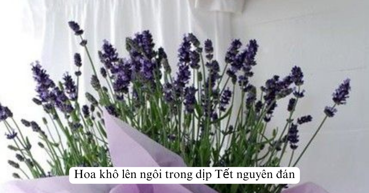 Hoa khô lên ngôi trong dịp Tết nguyên đán