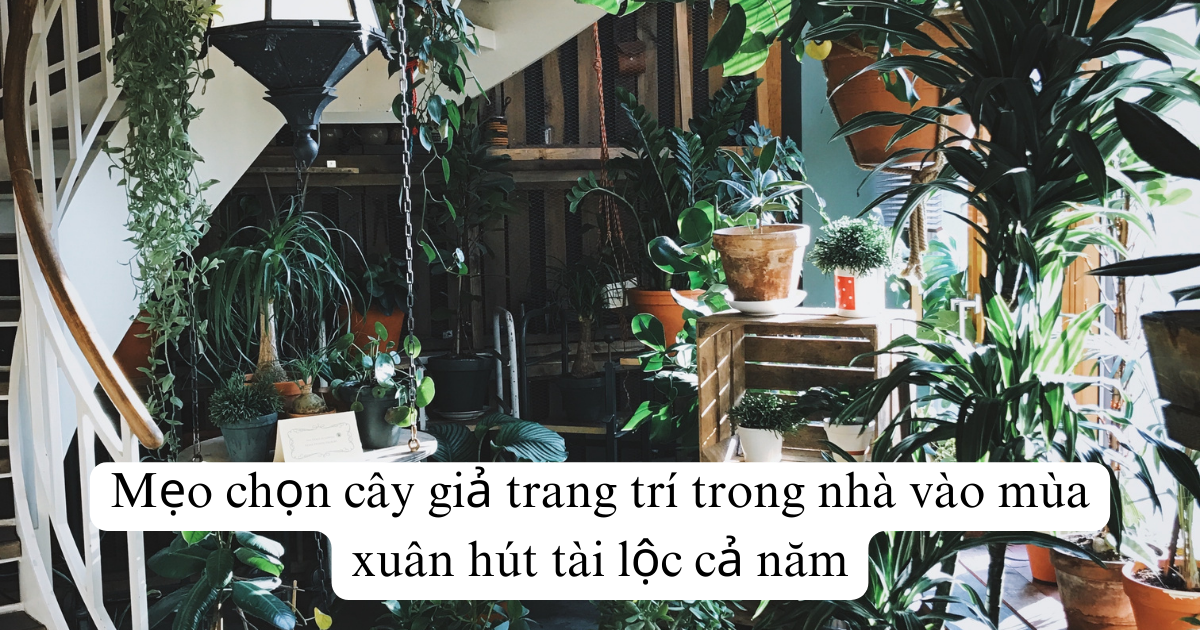Mẹo chọn cây giả trang trí trong nhà vào mùa xuân hút tài lộc cả năm