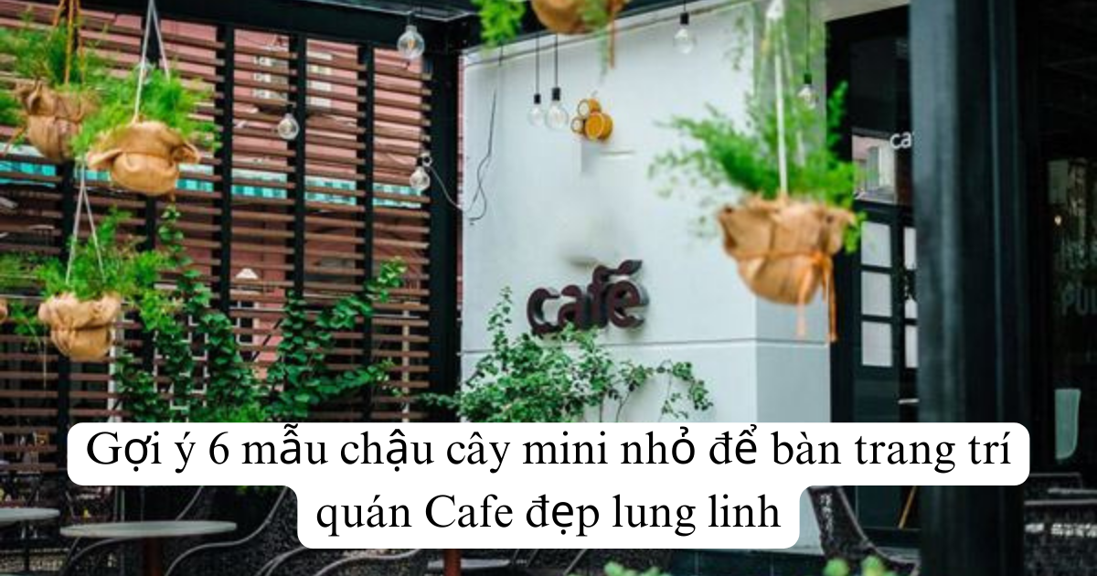 Gợi ý 6 mẫu chậu cây mini nhỏ để bàn trang trí quán Cafe đẹp lung linh
