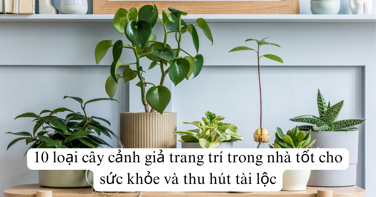 10 loại cây cảnh giả trang trí trong nhà tốt cho sức khỏe và thu hút tài lộc