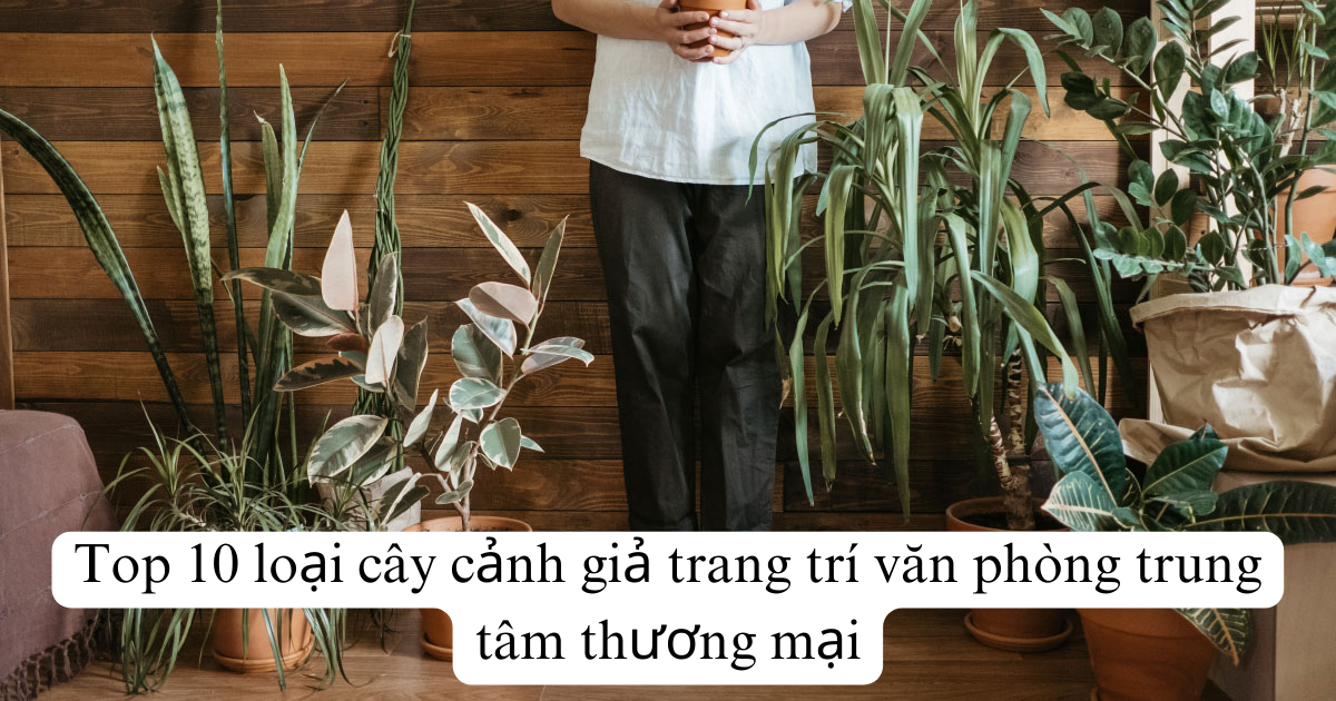 Top 10 loại cây cảnh giả trang trí văn phòng trung tâm thương mại