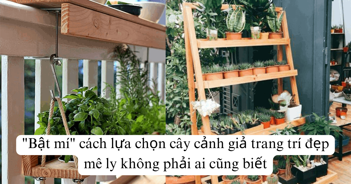 "Bật mí" cách lựa chọn cây cảnh giả trang trí đẹp mê ly không phải ai cũng biết