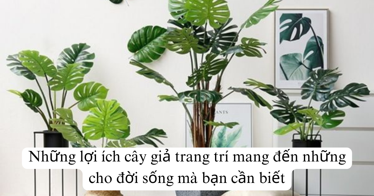 Những lợi ích cây giả trang trí mang đến những cho đời sống mà bạn cần biết