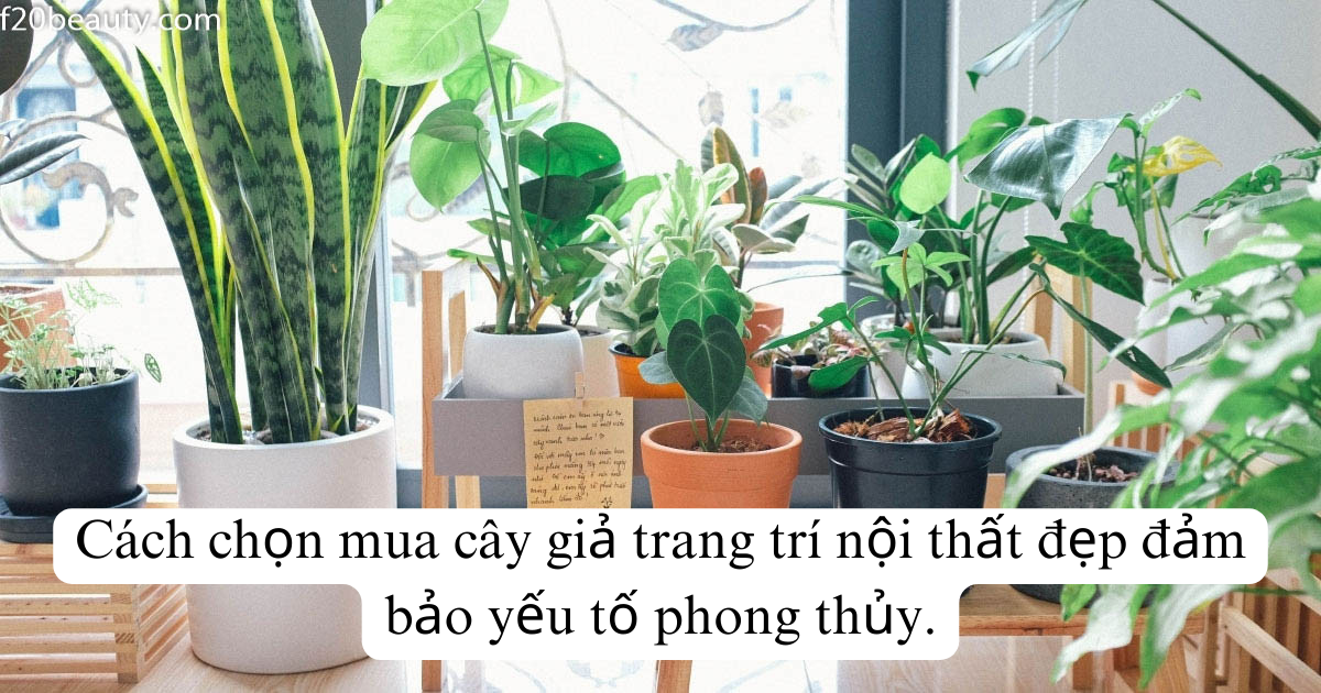 Cách chọn mua cây giả trang trí nội thất đẹp đảm bảo yếu tố phong thủy.