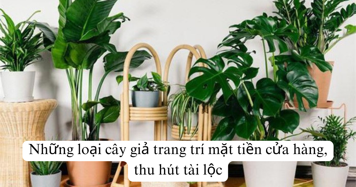 Những loại cây giả trang trí mặt tiền cửa hàng, thu hút tài lộc