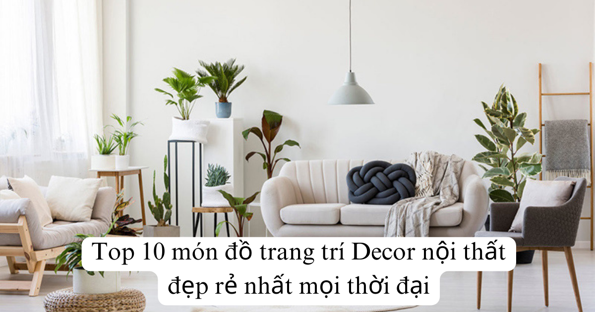 Top 10 món đồ trang trí Decor nội thất đẹp rẻ nhất mọi thời đại