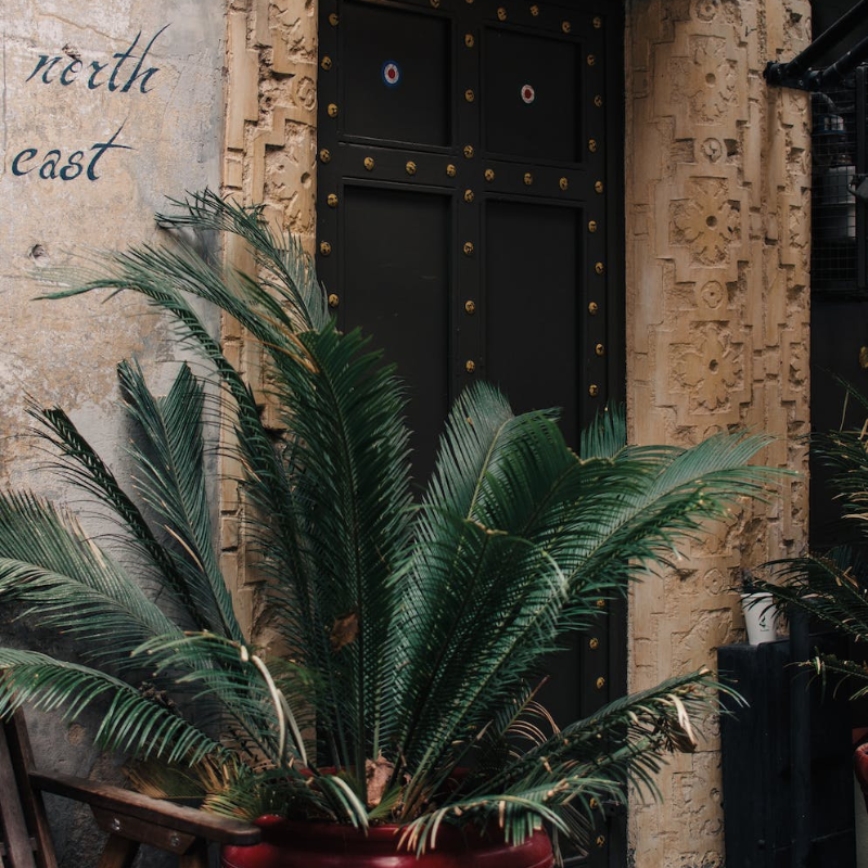 Có thể vận dụng làm xà phòng