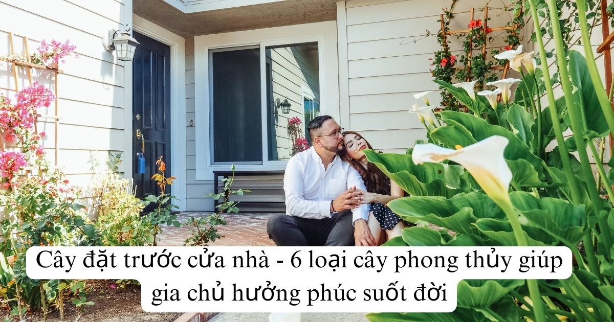 Cây đặt trước cửa nhà - 6 loại cây phong thủy giúp gia chủ hưởng phúc suốt đời