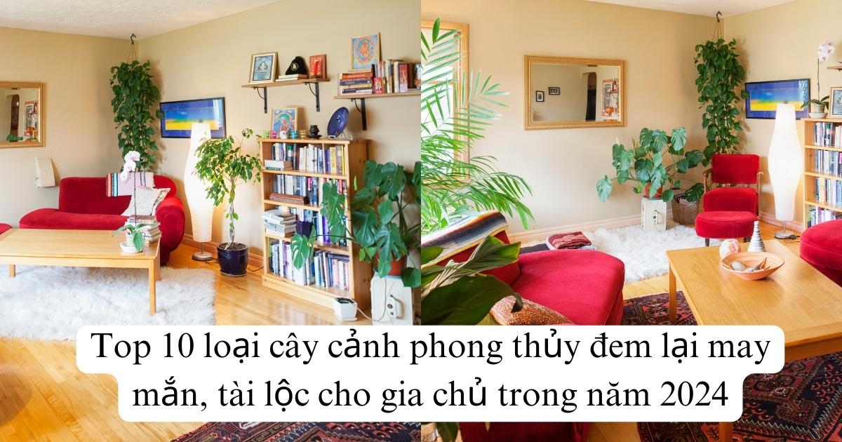 Top 10 loại cây cảnh phong thủy đem lại may mắn, tài lộc cho gia chủ trong năm 2025