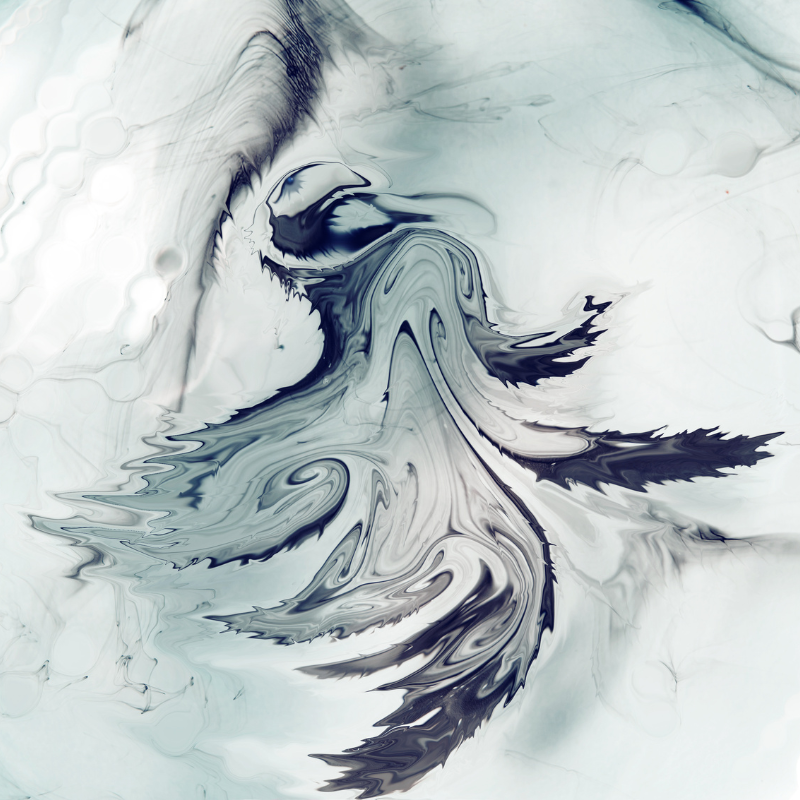 Phượng Hoàng - Để mang đến sự hài hòa và may mắn cho không gian sống của bạn