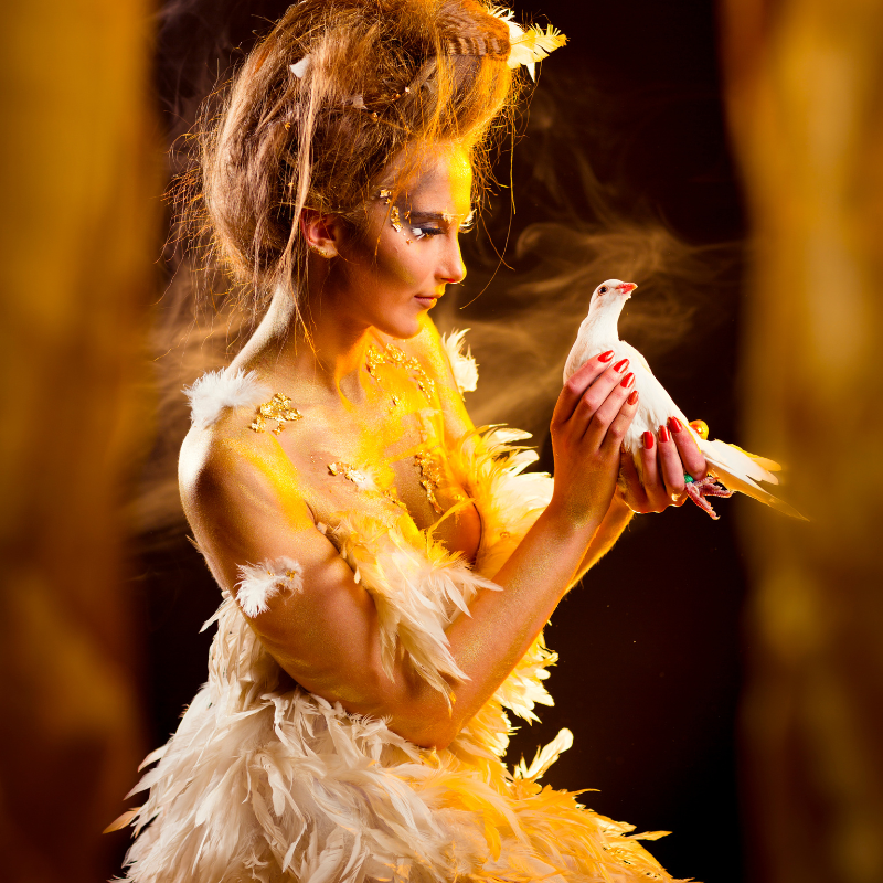 Nguồn Gốc Và Ý Nghĩa Phượng Hoàng Trong Phong Thủy - Hướng dẫn chi tiết về biểu tượng phong thủy này